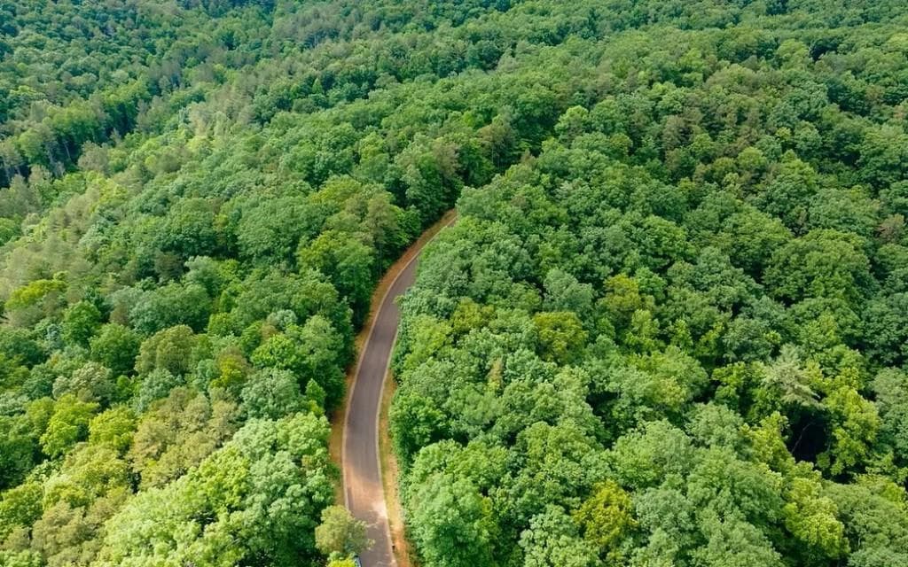 single family residence for sale at 0 Abbott Mill Road, Ellijay, GA 30540 — photo 4