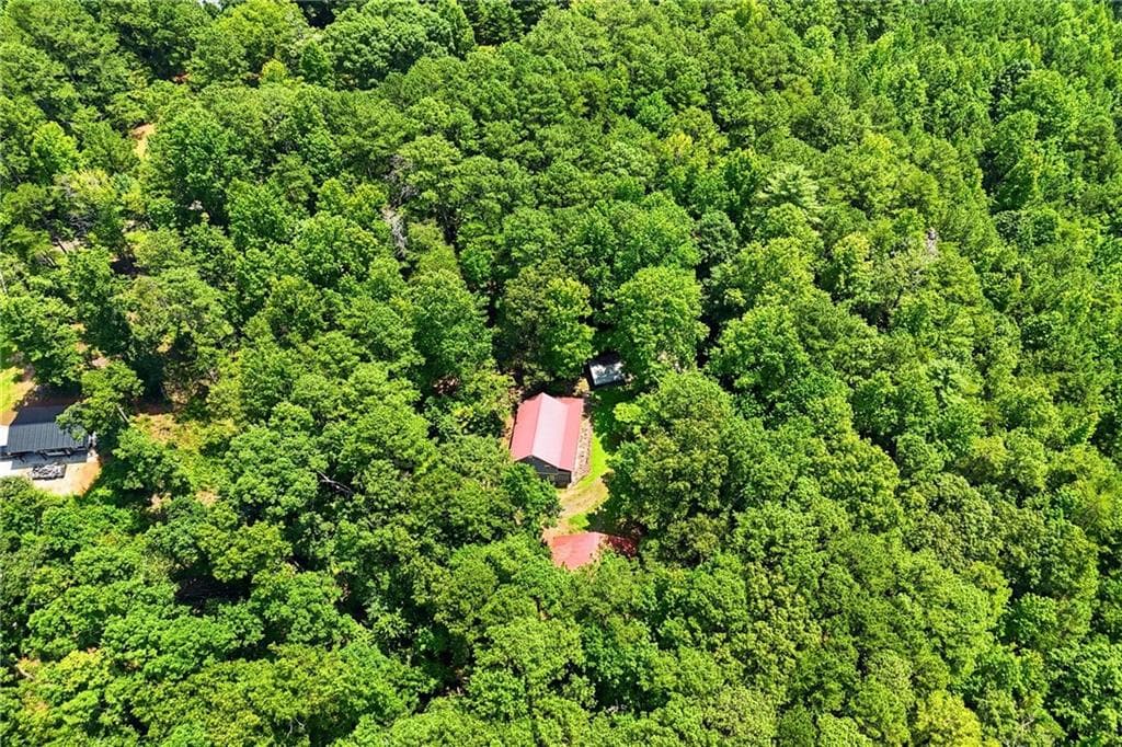 3 bedroom, 2 bathroom, 1,250 sq ft single family residence for sale at 1525 Sperin Road, Ball Ground, GA 30107 — photo 2