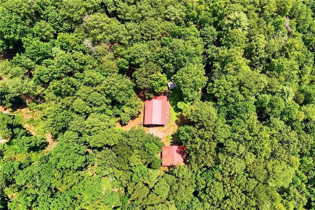 3 bedroom, 2 bathroom, 1,250 sq ft single family residence for sale at 1525 Sperin Road, Ball Ground, GA 30107 — photo 3