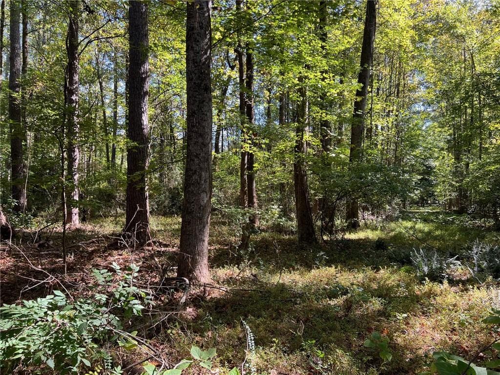 other for sale at 5334 Pounds Drive, Stone Mountain, GA 30087 — photo 4