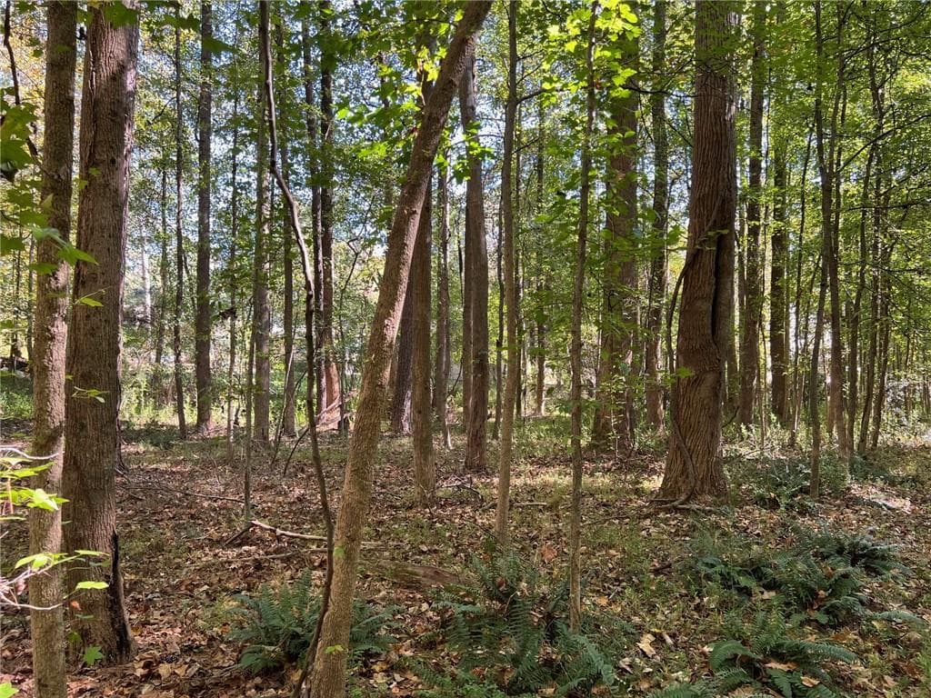 other for sale at 5334 Pounds Drive, Stone Mountain, GA 30087 — photo 5