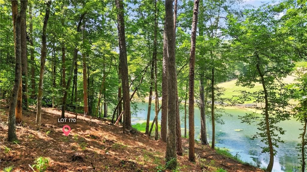 other for sale at 0 Overlook Way, Ellijay, GA 30540 — photo 3
