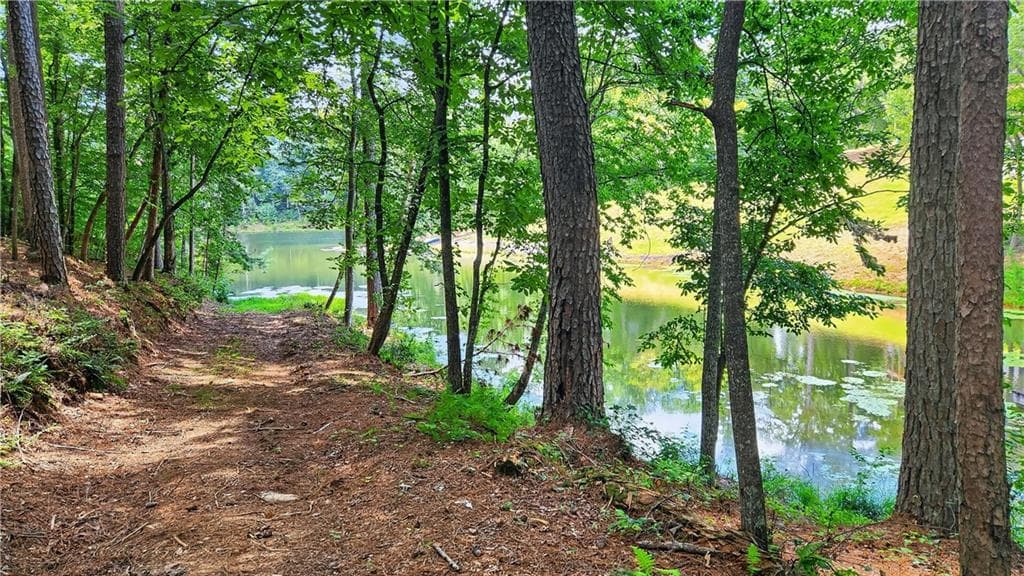 other for sale at 0 Overlook Way, Ellijay, GA 30540 — photo 6