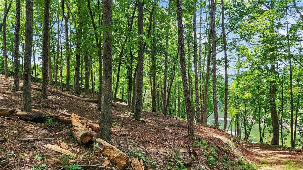 other for sale at 0 Overlook Way, Ellijay, GA 30540 — photo 7