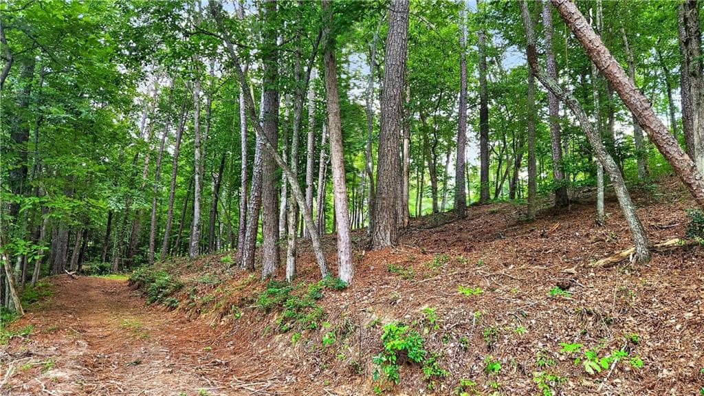 other for sale at 0 Overlook Way, Ellijay, GA 30540 — photo 8