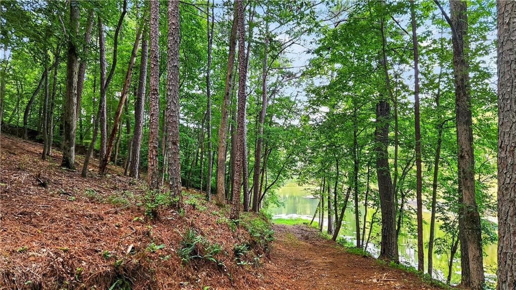 other for sale at 0 Overlook Way, Ellijay, GA 30540 — photo 9