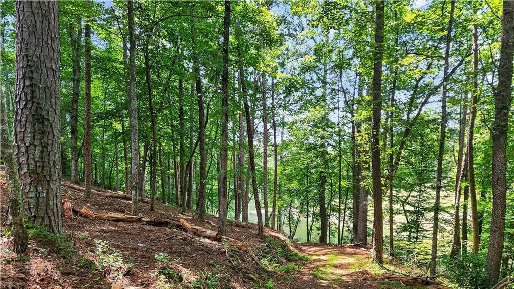 other for sale at 0 Overlook Way, Ellijay, GA 30540 — photo 10