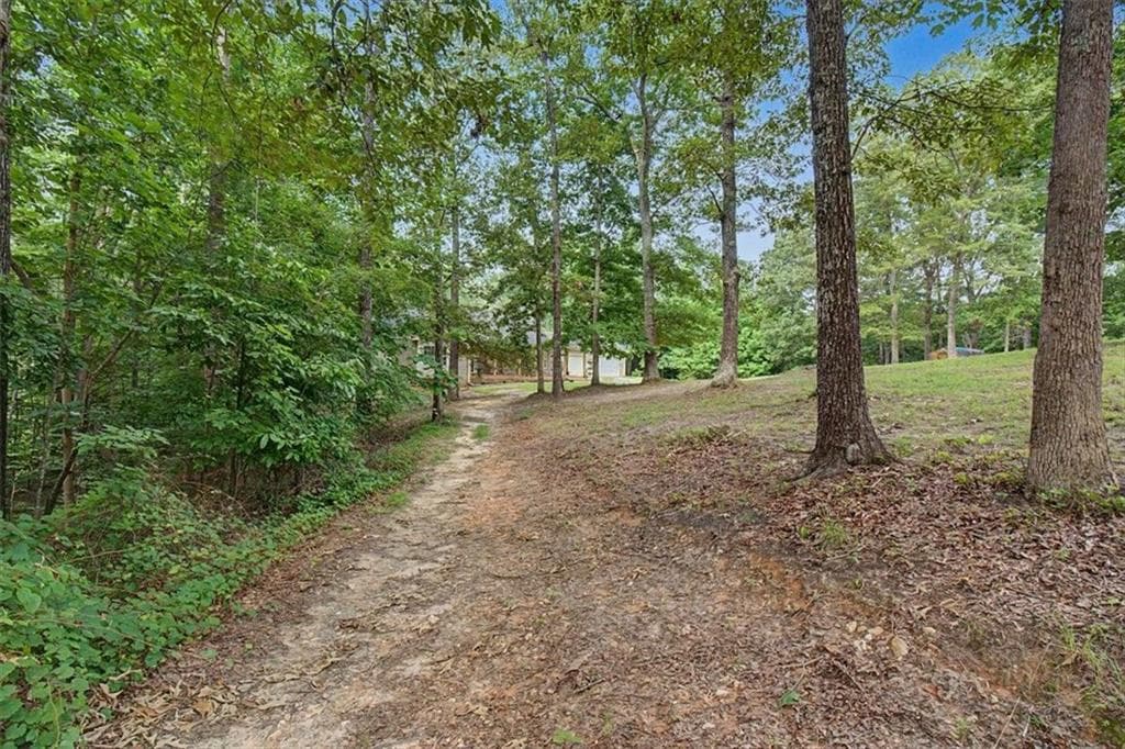 4 bedroom, 3 bathroom, 4,049 sq ft single family residence for sale at 295 Josie Lane, Canton, GA 30114 — photo 2