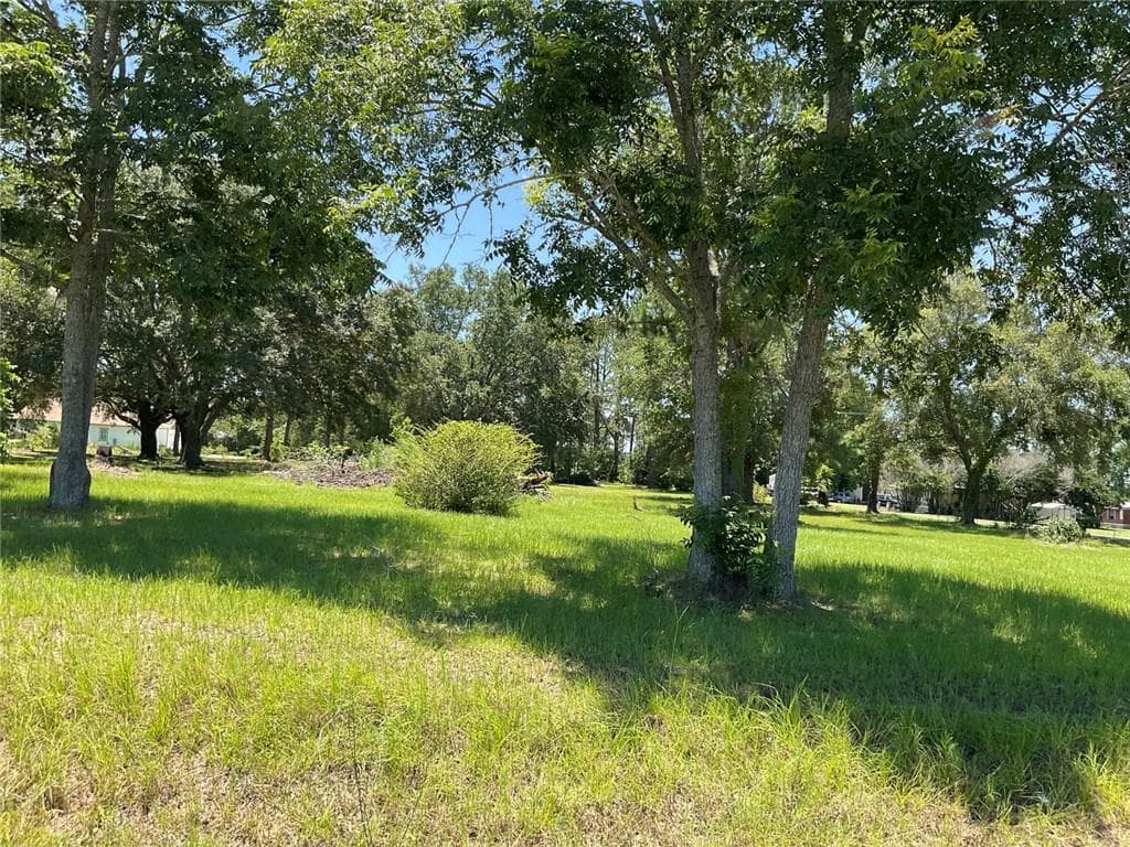 unimproved land for sale at 712 Sumner Road, Moultrie, GA 31768 — photo 8