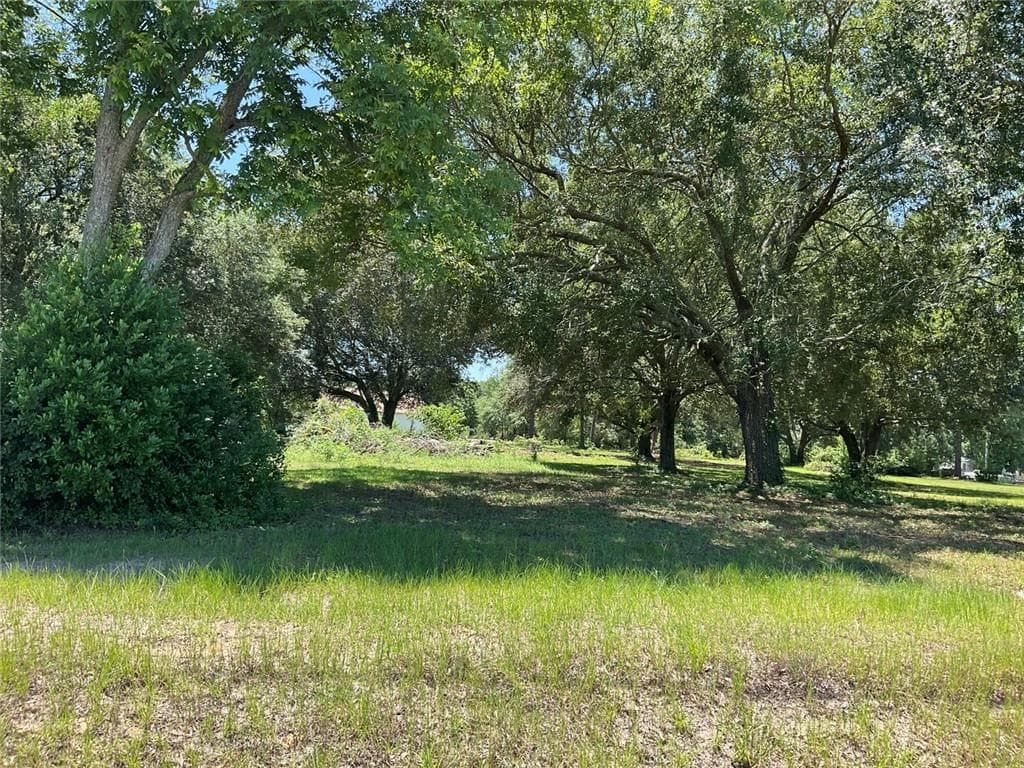 unimproved land for sale at 712 Sumner Road, Moultrie, GA 31768 — photo 10