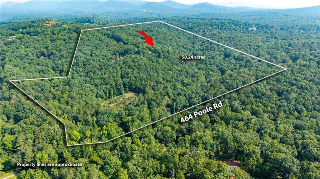 2 bedroom, 2 bathroom single family residence for sale at 464 Poole Road, Ball Ground, GA 30107 — photo 4