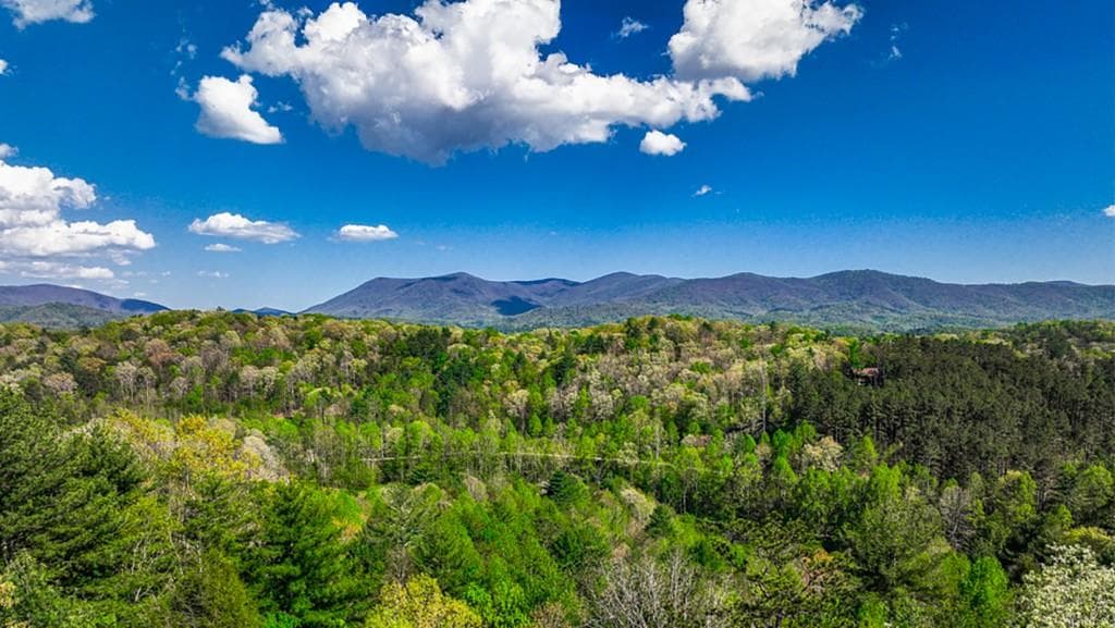 3 bedroom, 3 bathroom, 1,920 sq ft single family residence for sale at 43 S Dustin Drive, Ellijay, GA 30540 — photo 2