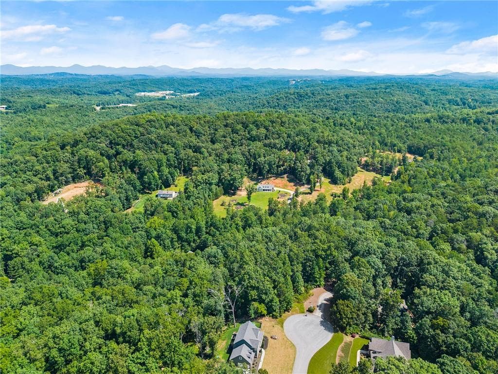 other for sale at 0 Flat Rock Point, Dahlonega, GA 30533 — photo 2