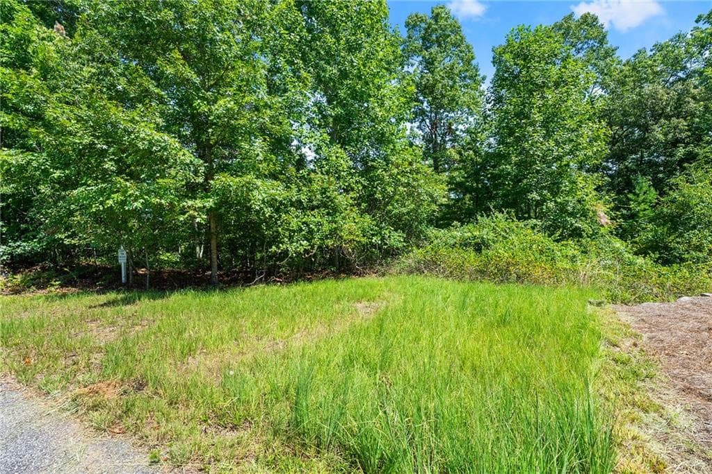 other for sale at 0 Flat Rock Point, Dahlonega, GA 30533 — photo 3