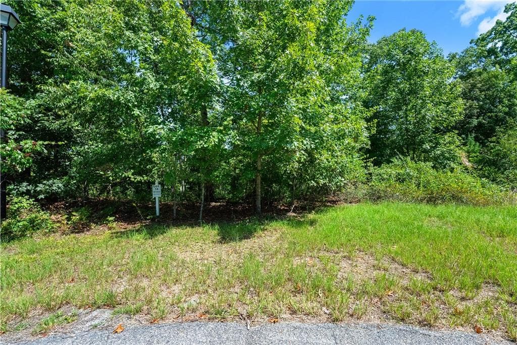 other for sale at 0 Flat Rock Point, Dahlonega, GA 30533 — photo 4