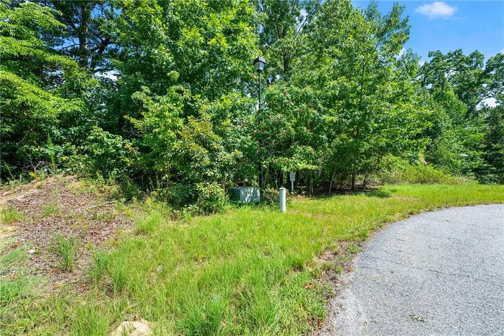 other for sale at 0 Flat Rock Point, Dahlonega, GA 30533 — photo 5