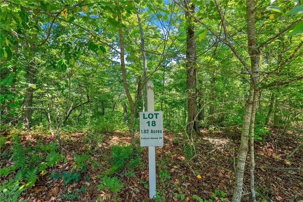 other for sale at 0 Flat Rock Point, Dahlonega, GA 30533 — photo 7