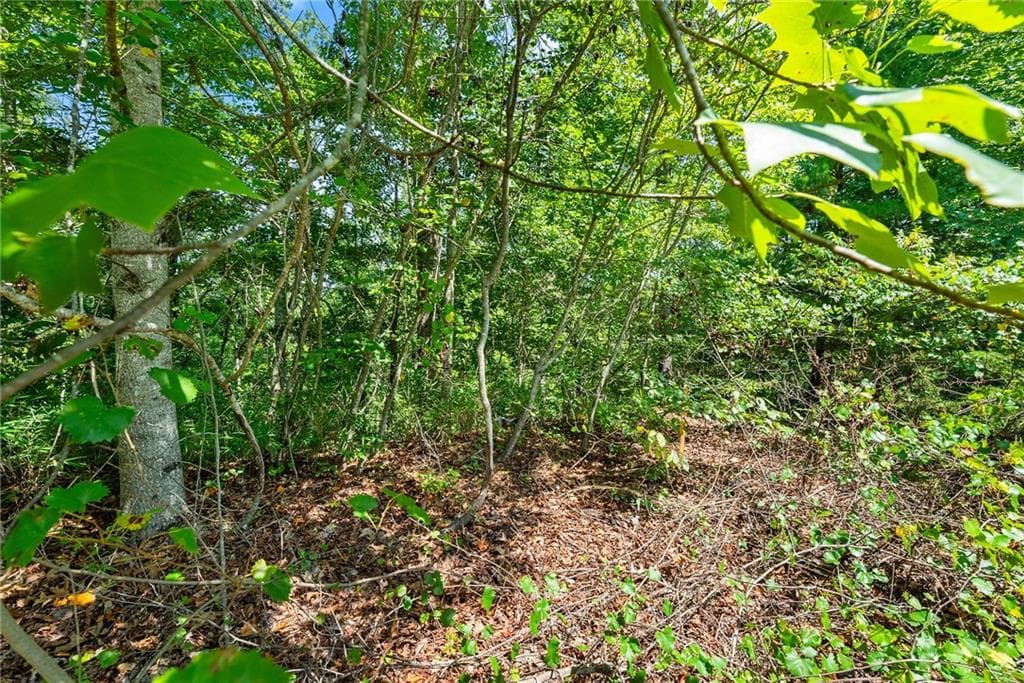 other for sale at 0 Flat Rock Point, Dahlonega, GA 30533 — photo 8