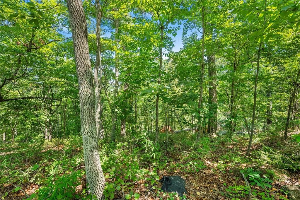 other for sale at 0 Flat Rock Point, Dahlonega, GA 30533 — photo 9