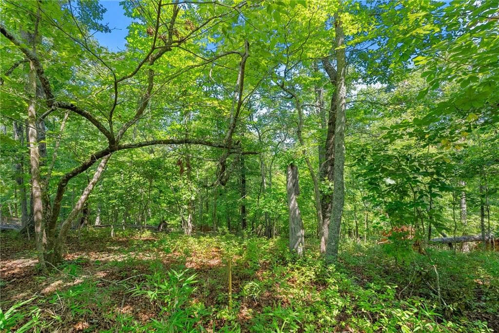 other for sale at 0 Flat Rock Point, Dahlonega, GA 30533 — photo 10