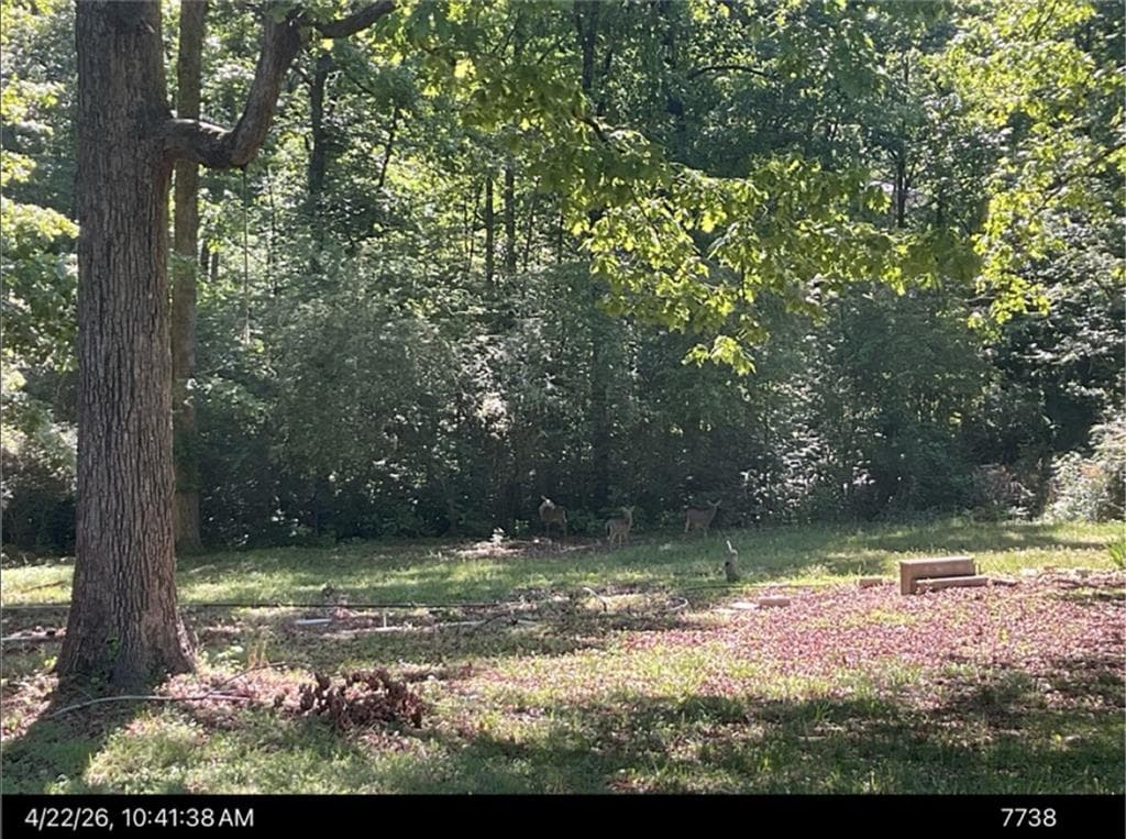 single family residence for sale at 106 Melba Drive, Trion, GA 30753 — photo 3
