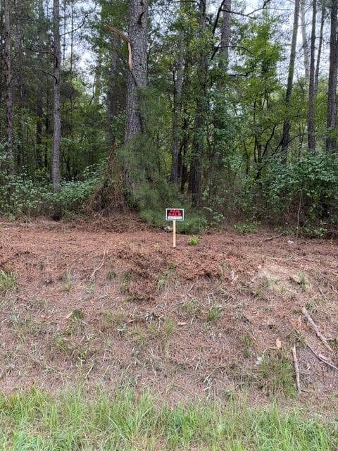 unimproved land for sale at 0 Iron Hill Road Lot 3, Taylorsville, GA 30178 — photo 1 of 2