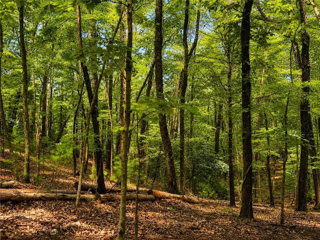 single family residence for sale at J208 Pine Ridge Road, Ellijay, GA 30536