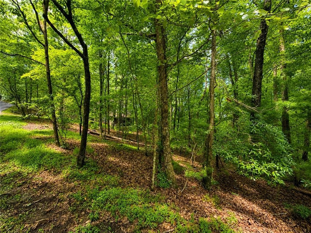 single family residence for sale at J208 Pine Ridge Road, Ellijay, GA 30536 — photo 3
