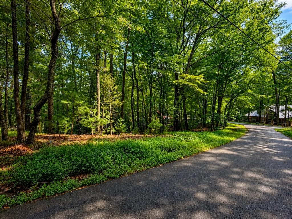 single family residence for sale at J208 Pine Ridge Road, Ellijay, GA 30536 — photo 4