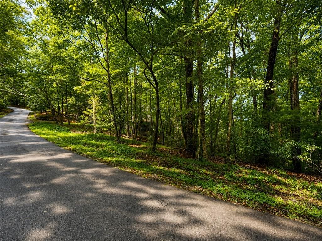 single family residence for sale at J208 Pine Ridge Road, Ellijay, GA 30536 — photo 6