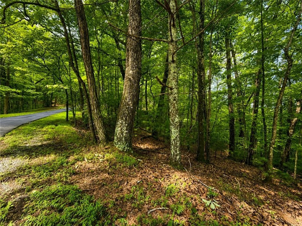 single family residence for sale at J208 Pine Ridge Road, Ellijay, GA 30536 — photo 8