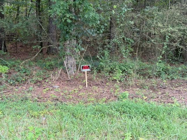 unimproved land for sale at 0 Iron Hill Road Lot 4, Taylorsville, GA 30178