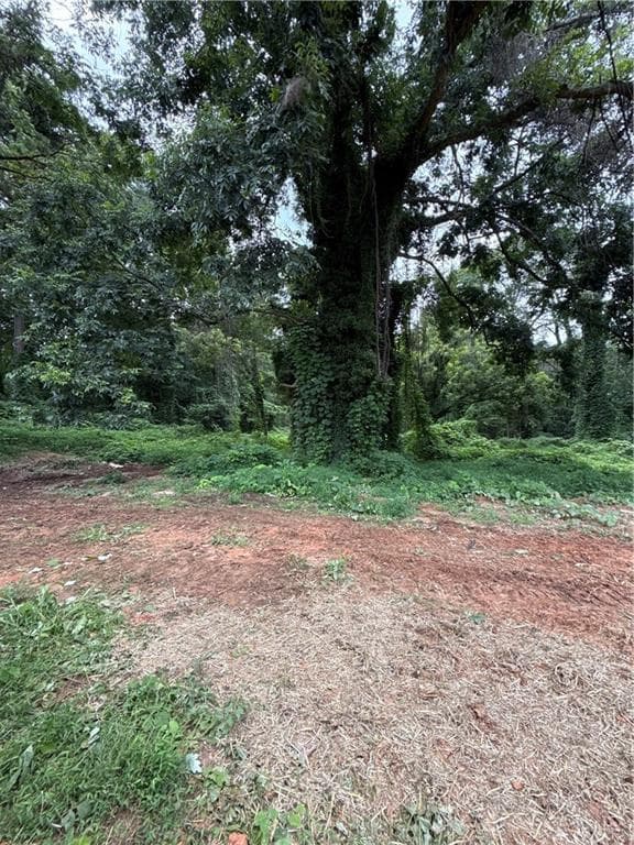 3 bedroom, 2 bathroom, 1,260 sq ft single family residence for sale at 80 Elberton Street, Toccoa, GA 30577 — photo 8