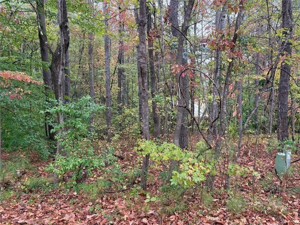 unimproved land for sale at 2313 Larchmont Court, Villa Rica, GA 30180 — photo 1 of 2