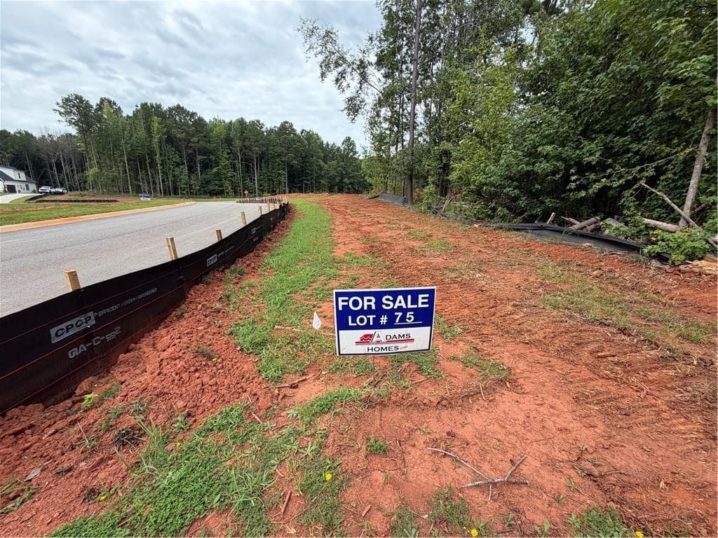 4 bedroom, 3 bathroom, 2,505 sq ft single family residence for sale at 225 Oak Court, Williamson, GA 30292 — photo 4