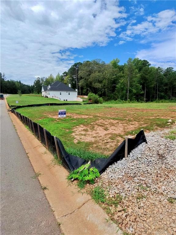 4 bedroom, 3 bathroom, 2,505 sq ft single family residence for sale at 2 Wisteria Lane, Williamson, GA 30292 — photo 3