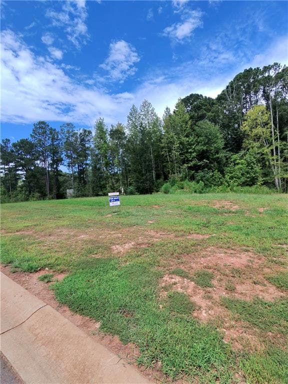 4 bedroom, 3 bathroom, 2,505 sq ft single family residence for sale at 0 Wisteria Lane, Williamson, GA 30292 — photo 3