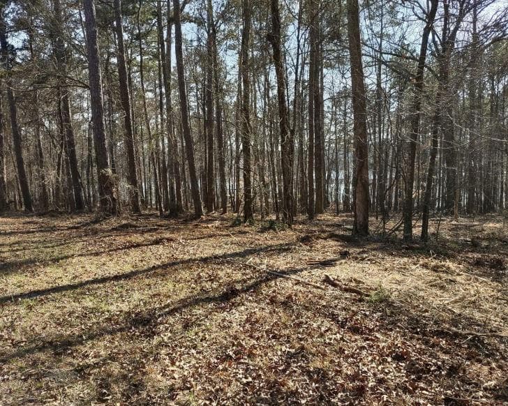 single family residence for sale at 12425 Panhandle Road, Hampton, GA 30228 — photo 3