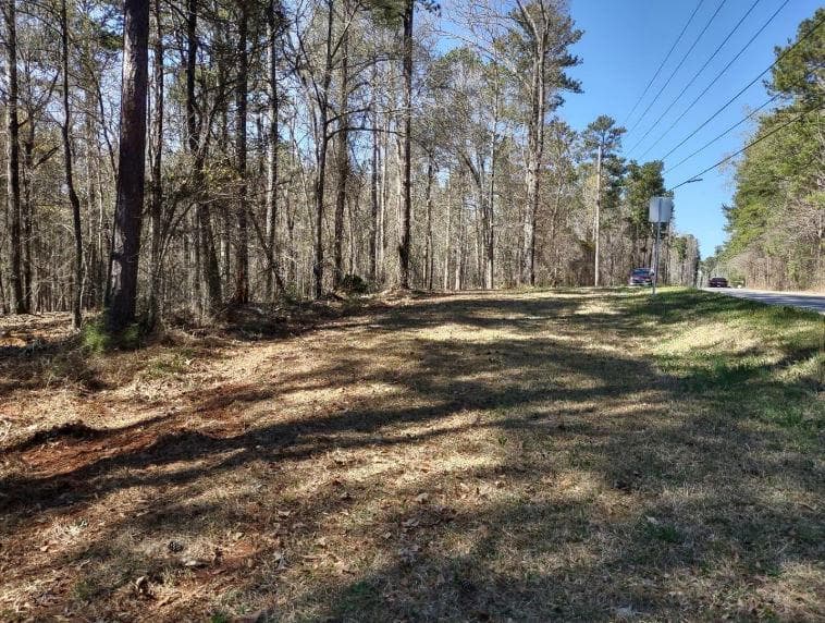 single family residence for sale at 12425 Panhandle Road, Hampton, GA 30228 — photo 4
