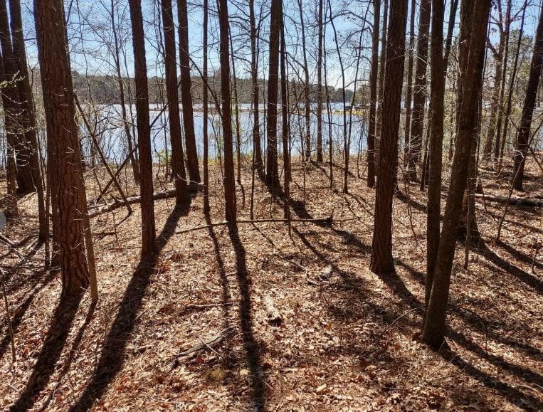 single family residence for sale at 12425 Panhandle Road, Hampton, GA 30228 — photo 5