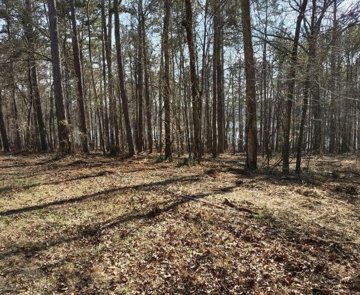 single family residence for sale at 12425 Panhandle Road, Hampton, GA 30228 — photo 6