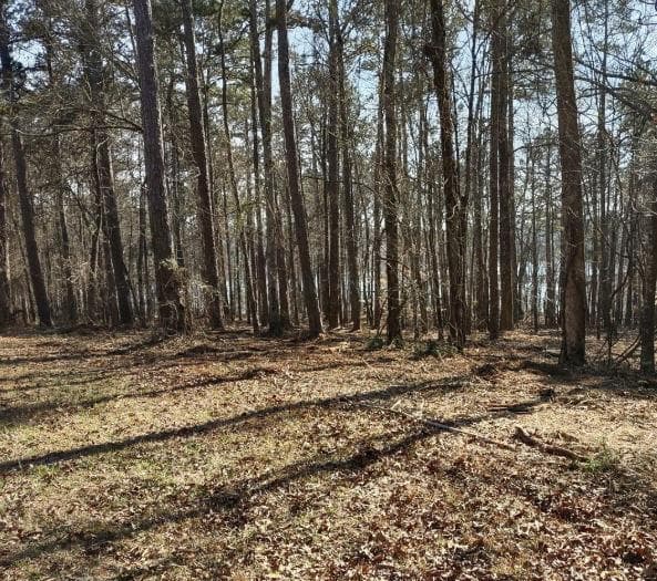 single family residence for sale at 12425 Panhandle Road, Hampton, GA 30228 — photo 7