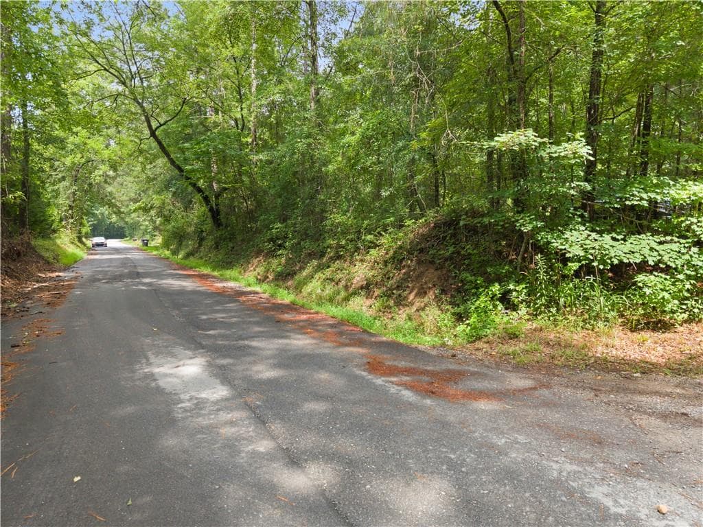other for sale at 0 Pickett Bridge Road, Covington, GA 30016 — photo 3