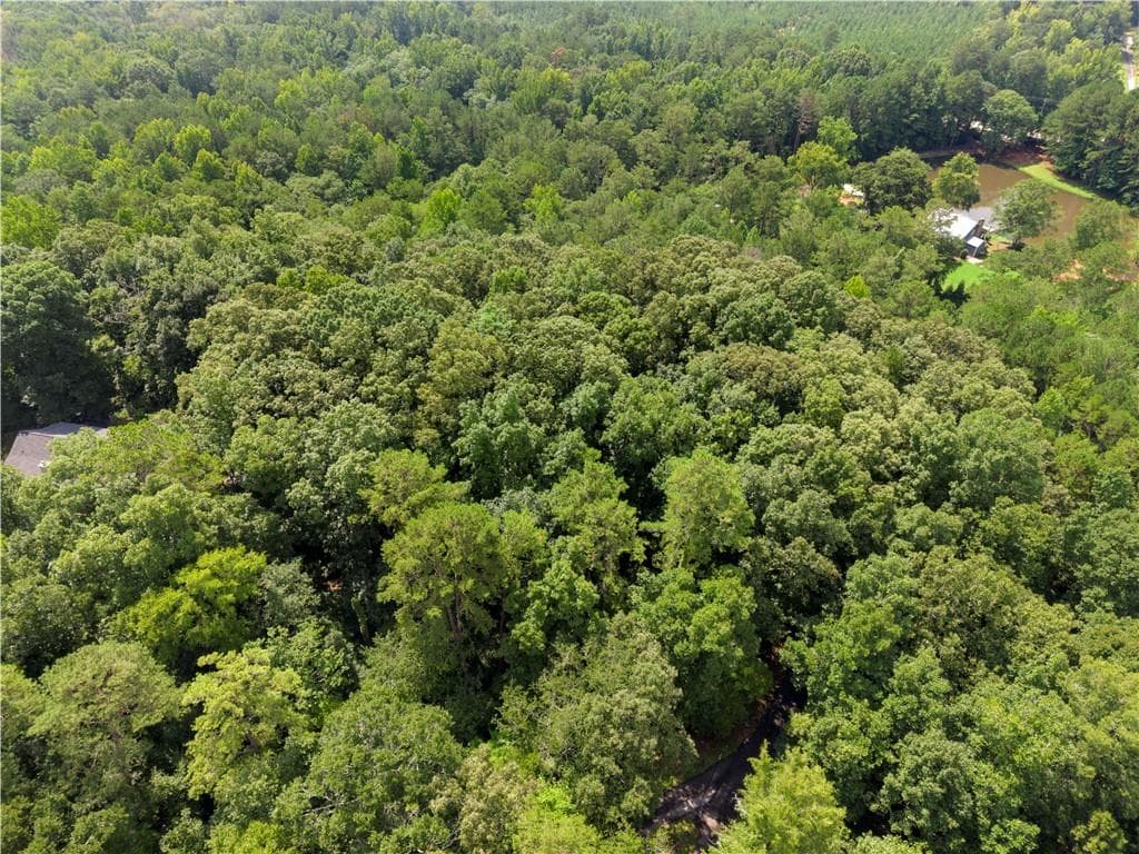 other for sale at 0 Pickett Bridge Road, Covington, GA 30016 — photo 4