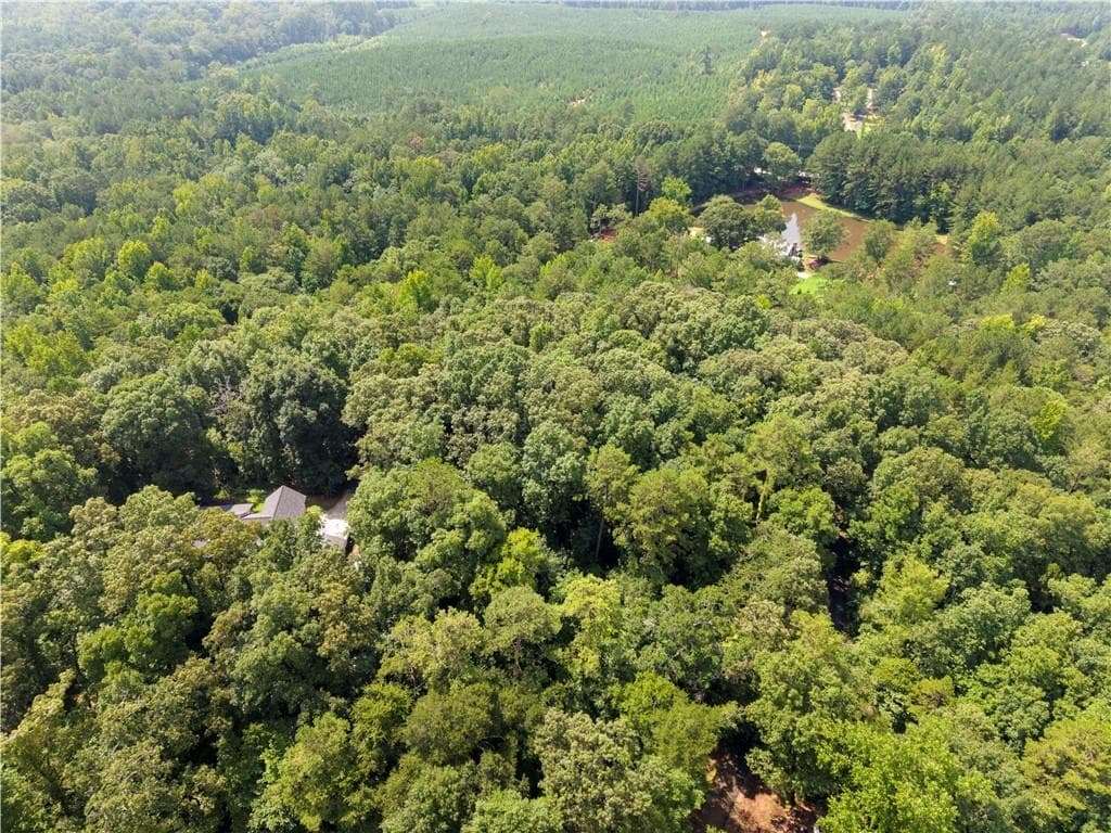 other for sale at 0 Pickett Bridge Road, Covington, GA 30016 — photo 5