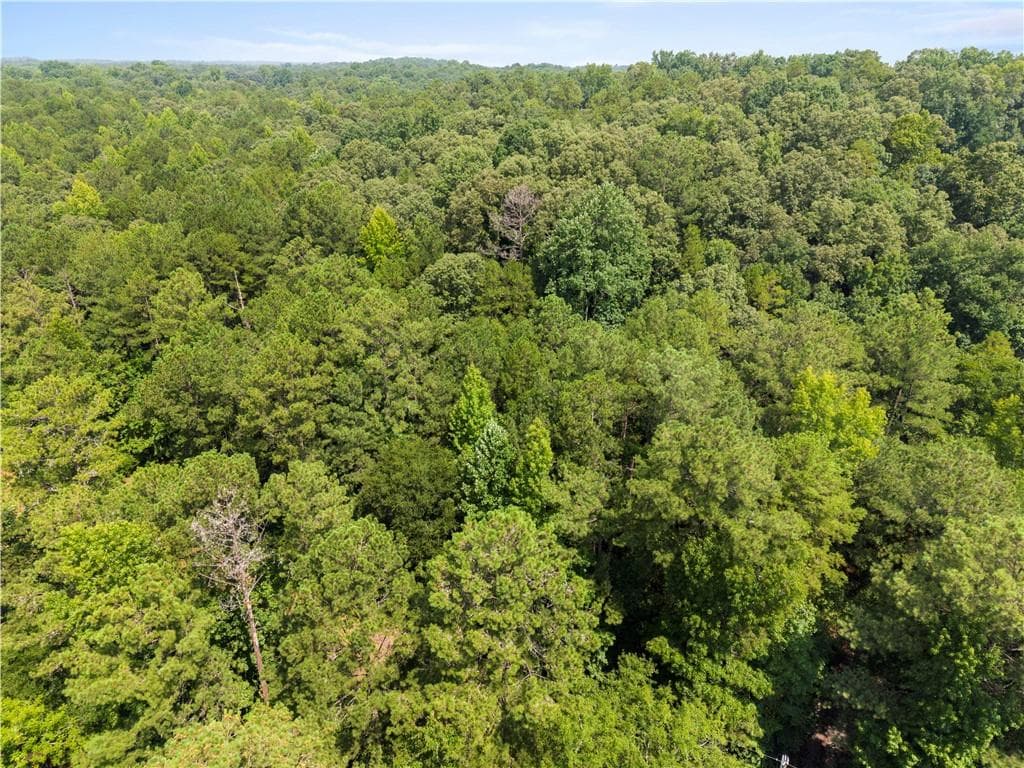 other for sale at 0 Pickett Bridge Road, Covington, GA 30016 — photo 6