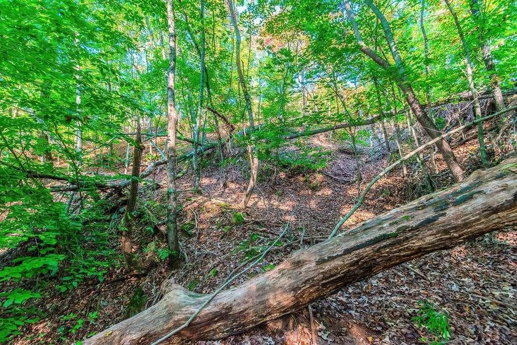 single family residence for sale at LOT 50 Jakes Landing Way, Ellijay, GA 30540 — photo 7
