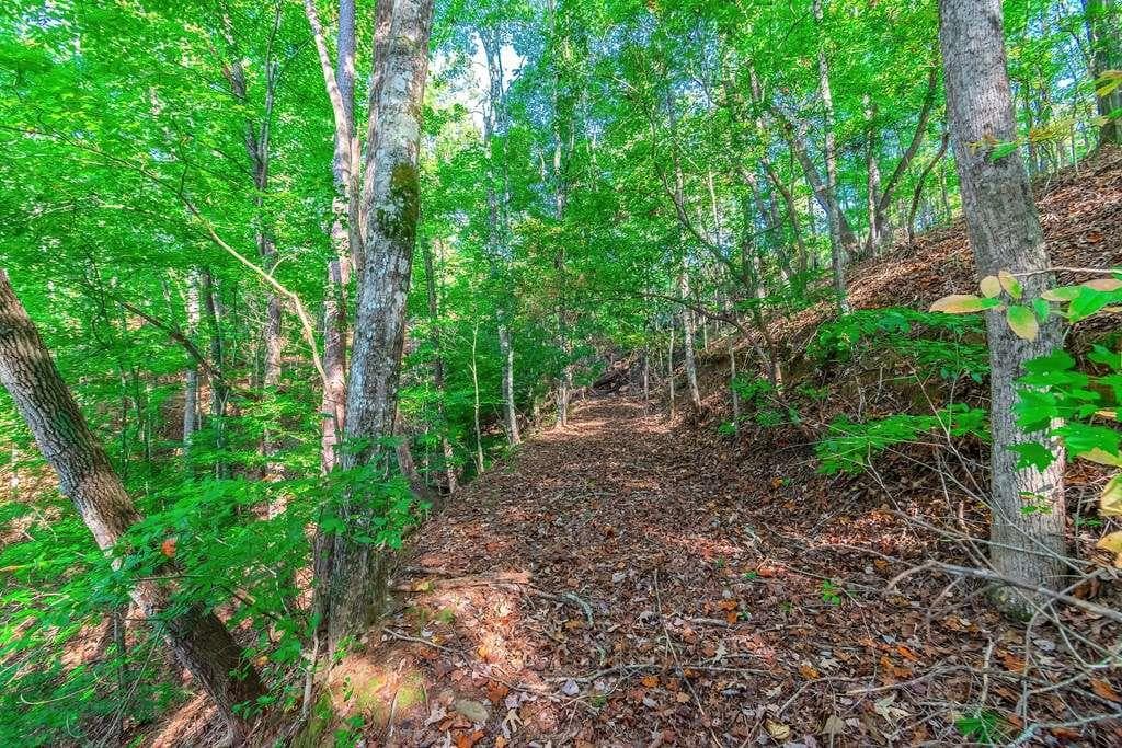 single family residence for sale at LOT 50 Jakes Landing Way, Ellijay, GA 30540 — photo 9