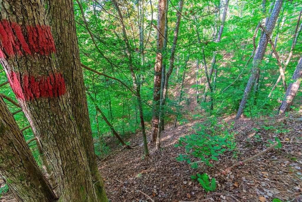 single family residence for sale at LOT 50 Jakes Landing Way, Ellijay, GA 30540 — photo 10
