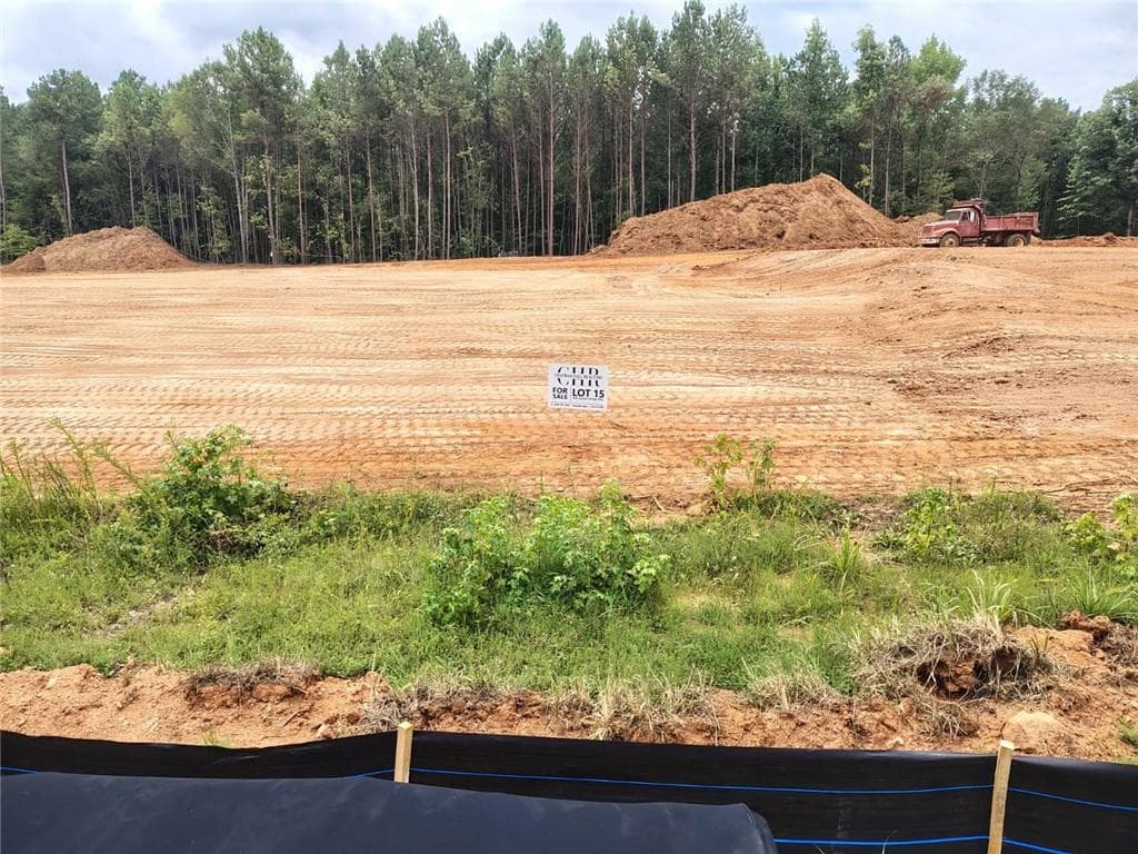 single family residence for sale at 1028 Queens Bridge Way, Griffin, GA 30223 — photo 2